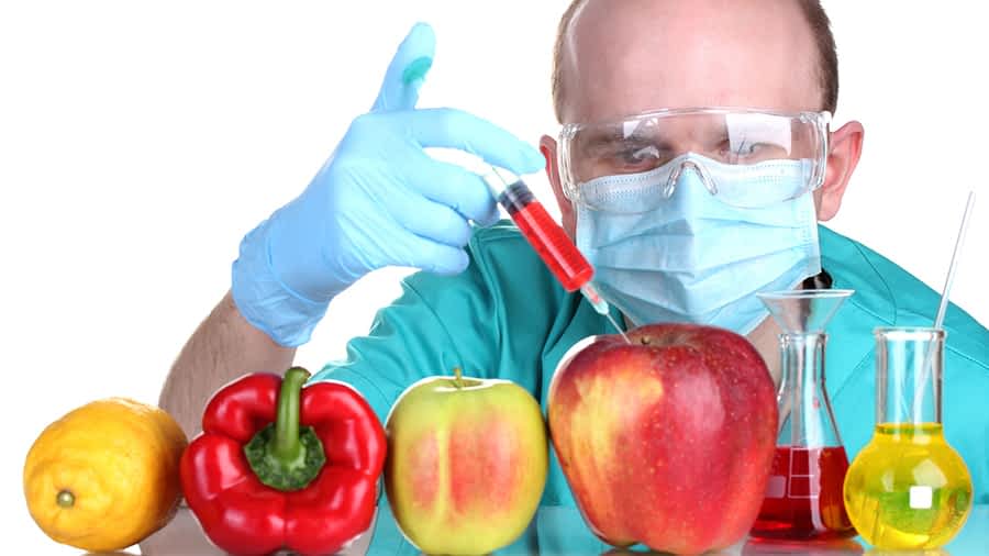 genetically-modified-foods-hmhelp